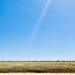IMG_8783