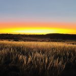 IMG_8941
